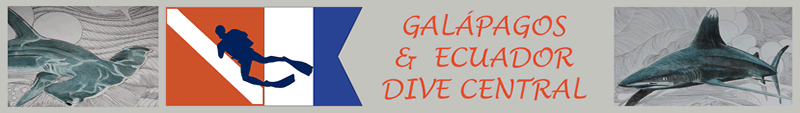 galapagosecuadordive